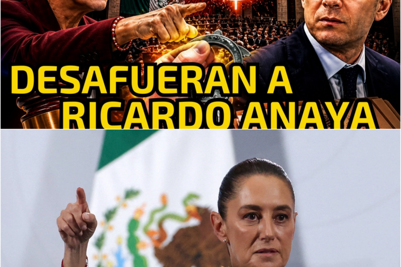 ¡ALERTA TOTAL! Van por Ricardo Anaya y el desafuero sacude al Senado