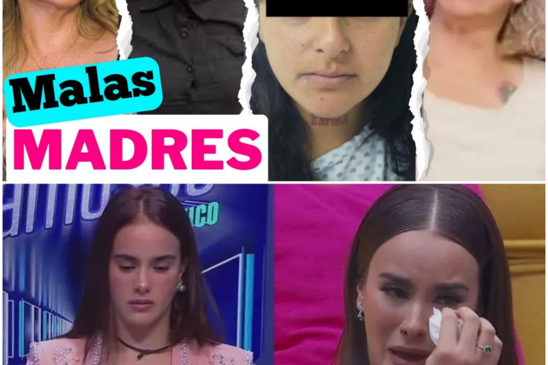 El Lado Oscuro de la Maternidad: Traición, Abuso y Negligencia en Cuatro Casos que Estremecen a México