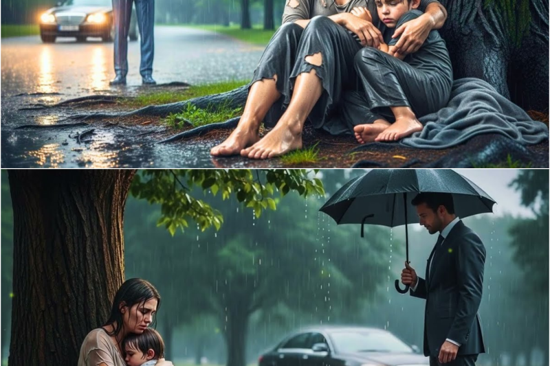MILLONARIO ENCUENTRA A MADRE SOLTERA ABANDONADA BAJO LA LLUVIA… ¡PERO LO QUE ELLA DIJO HIZO LLORAR