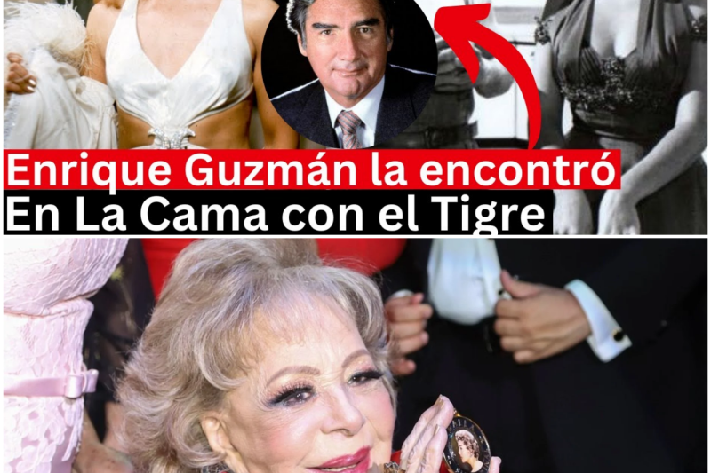 Los Amores, Secretos y Tragedias de Silvia Pinal: De la Traición Familiar al Exilio Político de la Última Diva Mexicana