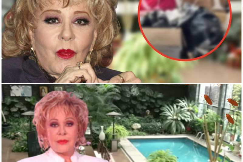 El Ocaso de Dos Dinastías: La Mansión de Silvia Pinal en Ruinas y los Oscuros Secretos de la Familia Aguilar