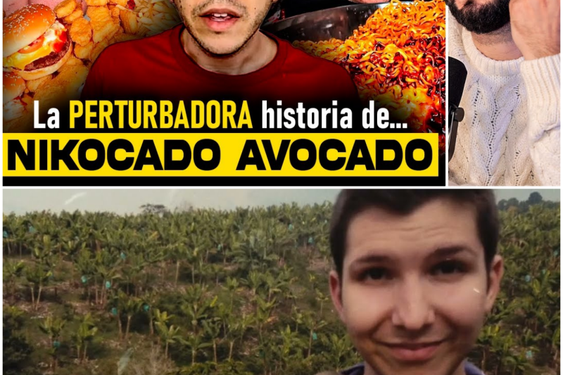 El Experimento Social Más Perturbador de Internet: Cómo Nikocado Avocado Engañó al Mundo y Desafió al Algoritmo