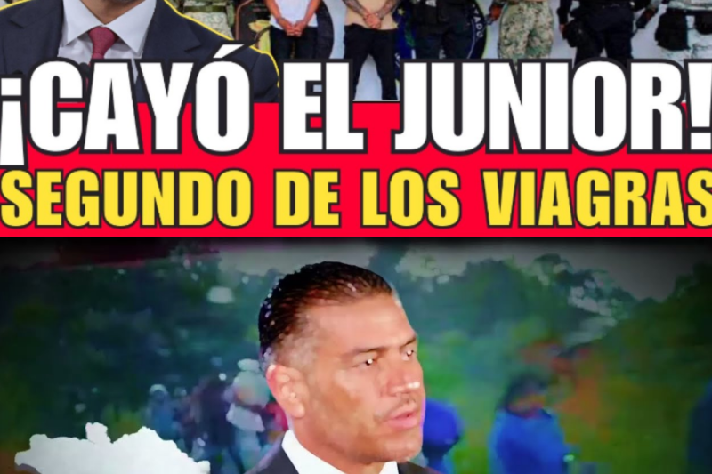 ¡CAYÓ “EL JUNIOR”! | HARFUCH CAPTURA AL SEGUNDO DE LOS VIAGRAS EN ZIHUATANEJO