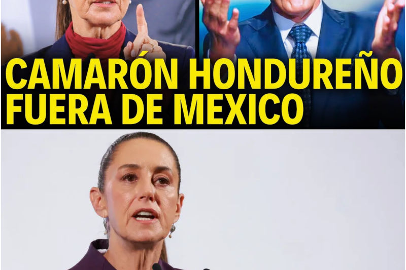 México Da un Golpe sobre la Mesa: El Veto Comercial que Paraliza a Honduras y Protege a los Productores Nacionales