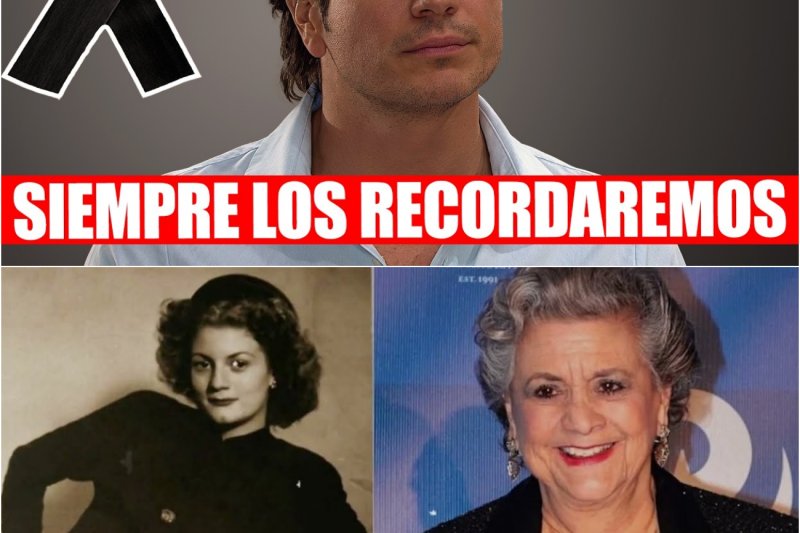 El Adiós a las Leyendas de Corazón Indomable: Historias de Vida, Sacrificio y el Legado Inmortal de Seis Maestros de la Actuación