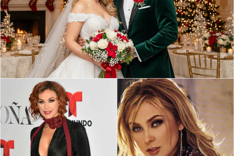 Aracely Arámbula y su Boda Secreta a los 50 Años: La Revelación Navideña que Conmovió al Mundo y el Misterioso Hombre que Sanó su Corazón