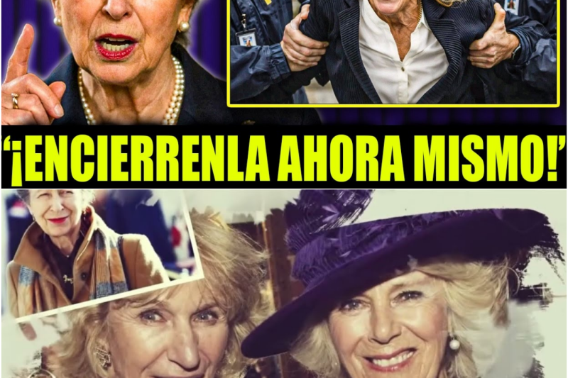 Tormenta en el Palacio: La Princesa Ana ordena la investigación y detención de la hermana de la Reina Camila por irregularidades financieras