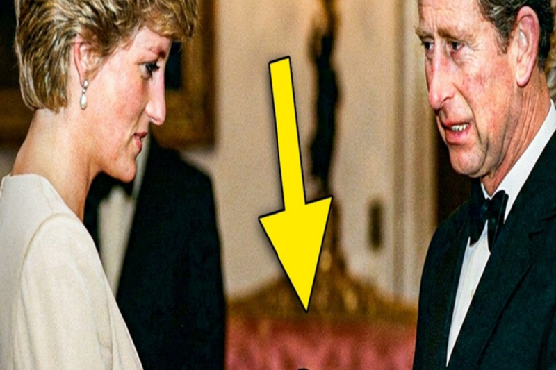 Diana Devolvió El Regalo De Cumpleaños De Carlos Frente A Camilla — Nadie Esperaba Eso