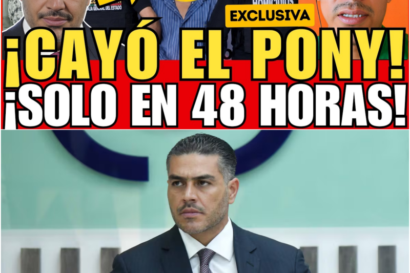 ¡OPERATIVO RELÁMPAGO! HARFUCH CAPTURA A “EL PONY”, SOBRINO DEL GANADERO DE TEHUITZINGO