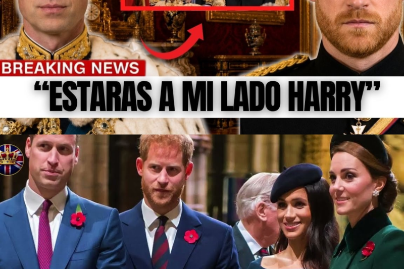 William le revela a Harry qué papel tendrá en la coronación “Párate a mi lado. No detrás. A mi lado”