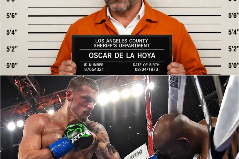 10 Boxeadores que MAT4RON a Personas Fuera del Ring..