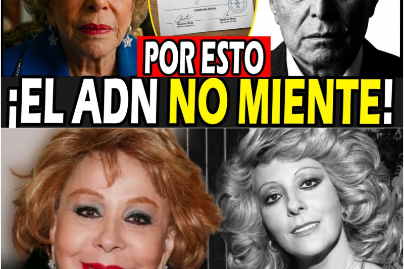 SILVIA PINAL: El HIJO SECRETO con ENRIQUE GUZMÁN que la FAMILIA NUNCA RECONOCIÓ…