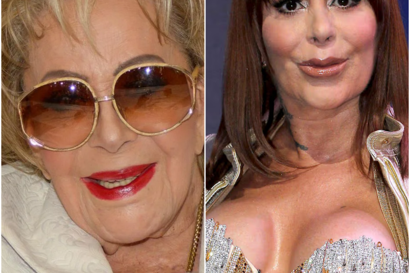 LA ENFERMERA DEL SILENCIO: El oscuro pacto de la familia Pinal para ocultar el maltrato y las peleas de herencia tras la muerte de la diva