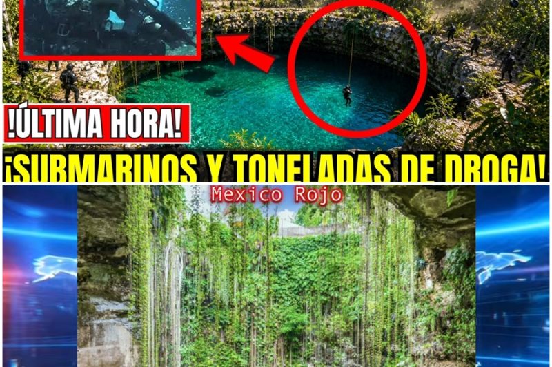   YUCATÁN EN CRISIS: MURCIÉLAGOS DESCUBREN CENOTE DEL CJNG SUBMARINOS OCULTOS Y TONELADAS DE DROGA  