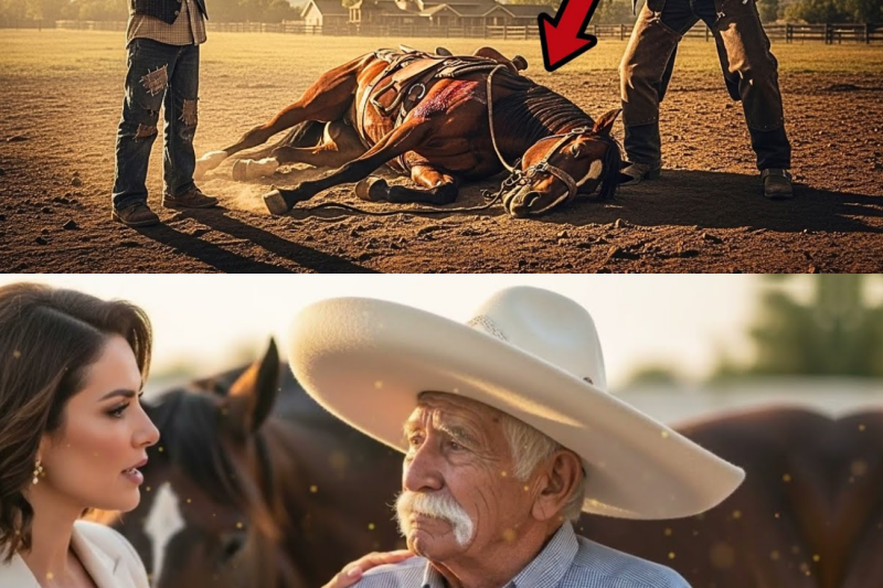 Patrón Apuesta Su Rancho ‘Nadie Puede Curar El Caballo’… Humilde Niño Acepta y Todos Quedan…