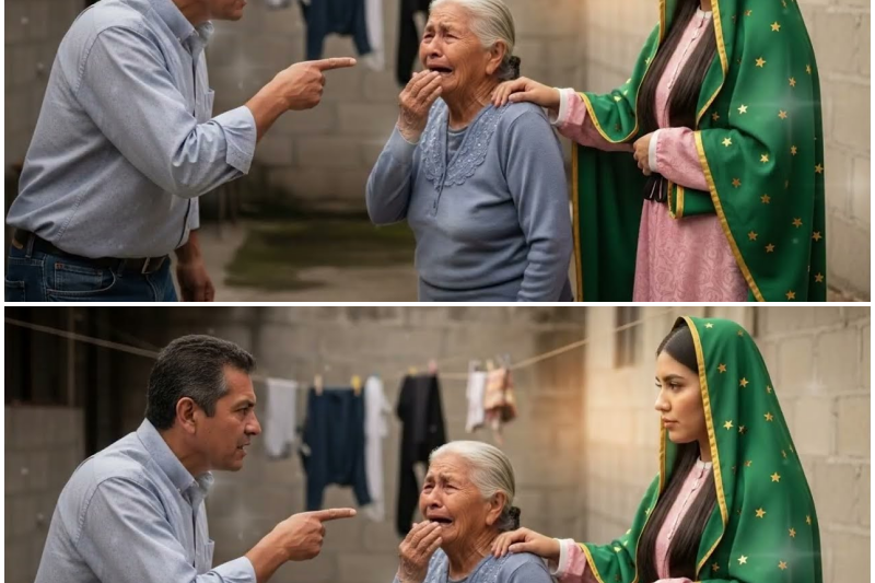 UN PADRASTRO VIOLENTO INTIMIDÓ A UNA ABUELA DEVOTA… Y LA VIRGEN DE GUADALUPE HIZO JUSTICIA DIVINA