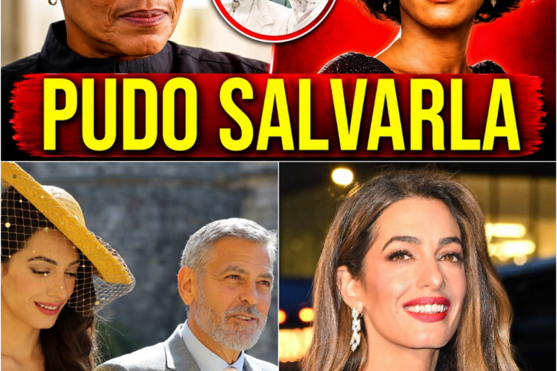 El Mensaje Borrado y el Amor Prohibido: El Desgarrador Secreto que Llevó a Whitney Houston al Abismo