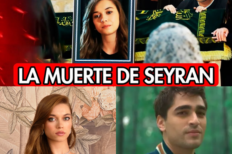 El desenlace épico de Yalı Çapkını: El destino final de Ferit y Seyran que paralizó al público