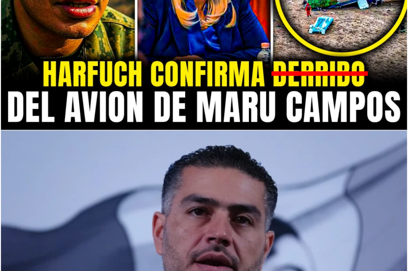 DERRIBAN AVION PRIVADO de MARU CAMPOS EN CHIHUAHUA; HARFUCH CONFIRMA VENGANZA de los SICARIOS