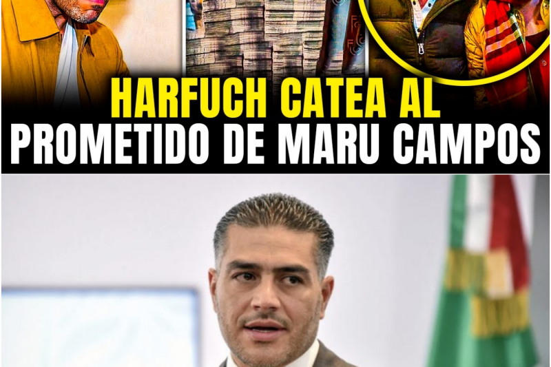 HARFUCH CATEA al PROMETIDO de MARU CAMPOS y DESCUBRE 143 MILLONES en CONTRATOS OCULTOS