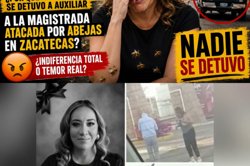 Por qué ni una patrulla se detuvo a auxiliar a la magistrada atacada por abejas en Zacatecas