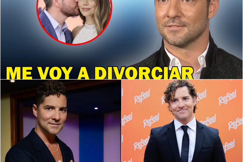 Tras los rumores de divorcio: La impactante confesión de David Bisbal sobre la cruda realidad de su matrimonio