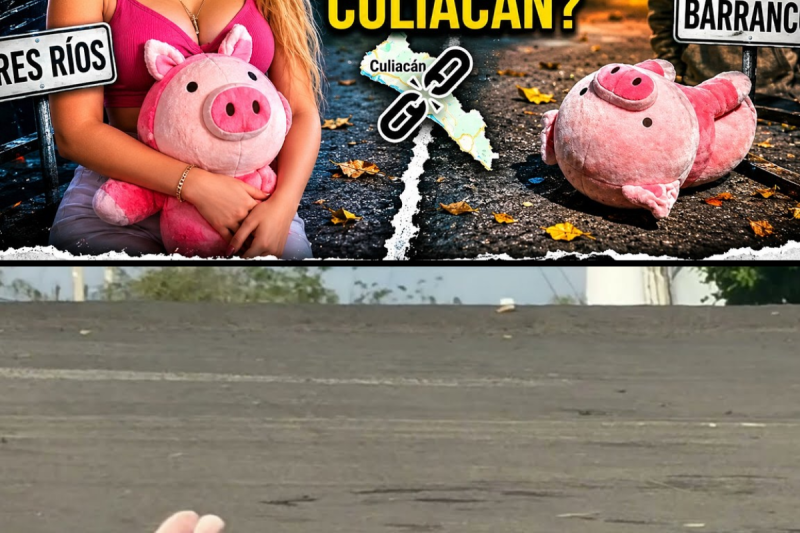 ¿Quién esta involucrado? ¿Alias el cochino? 