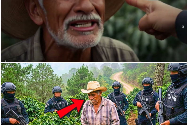 El CJNG Fue A Quitarle Las Tierras De Café Al Viejo… Pero Algo No Cuadraba