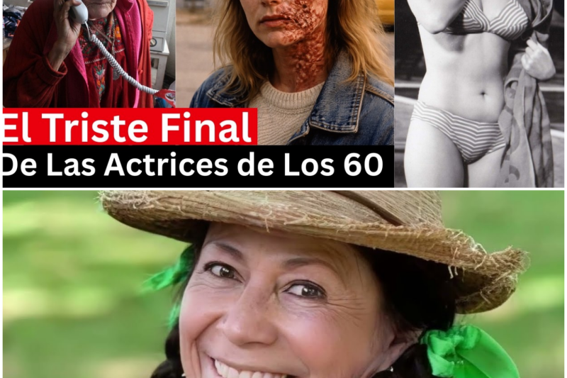 El Oscuro Precio de la Fama: El Desgarrador y Trágico Final de las Leyendas Femeninas de los Años 60