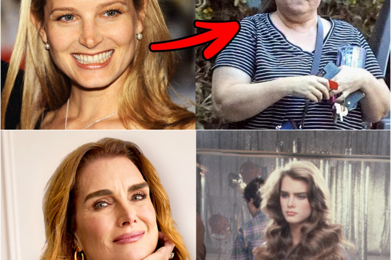 El Impactante Antes y Después de las 60 Actrices Más Hermosas de los Años 80 y 90: Cómo el Tiempo Transformó a los Íconos de Hollywood