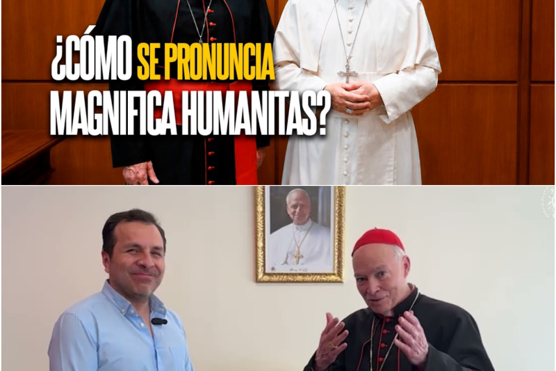 Magnifica Humanitas, el histórico manifiesto del Papa León XIV para rescatar la dignidad de los seres humanos en la era de la inteligencia artificial