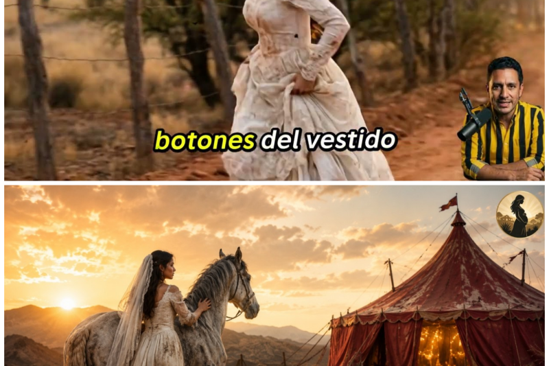 A los 21 Huyó de su Boda… y Encontró los Anillos de Otras Novias en la Carpa ViejaA los 21 Huyó de su Boda… y Encontró los Anillos de Otras Novias en la Carpa Vieja