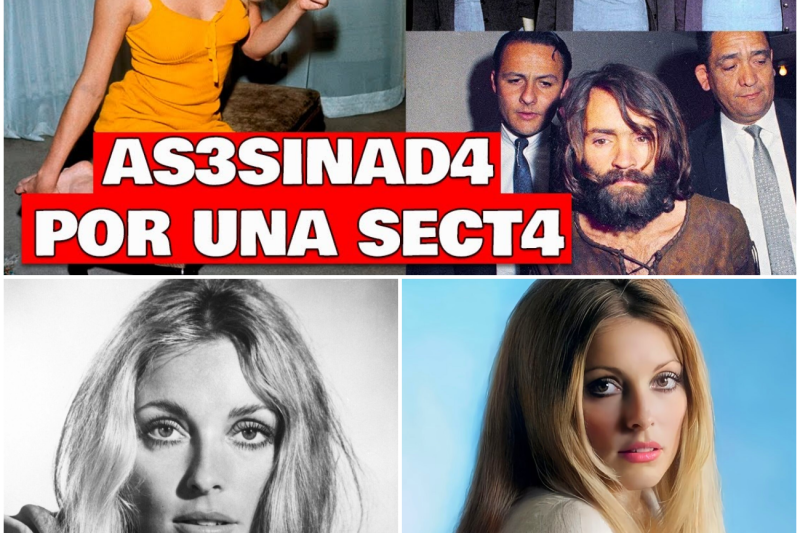 El Día que Murió Sharon Tate: La Biografía de una Estrella, la Sombra de Polanski y la Masacre de Charles Manson