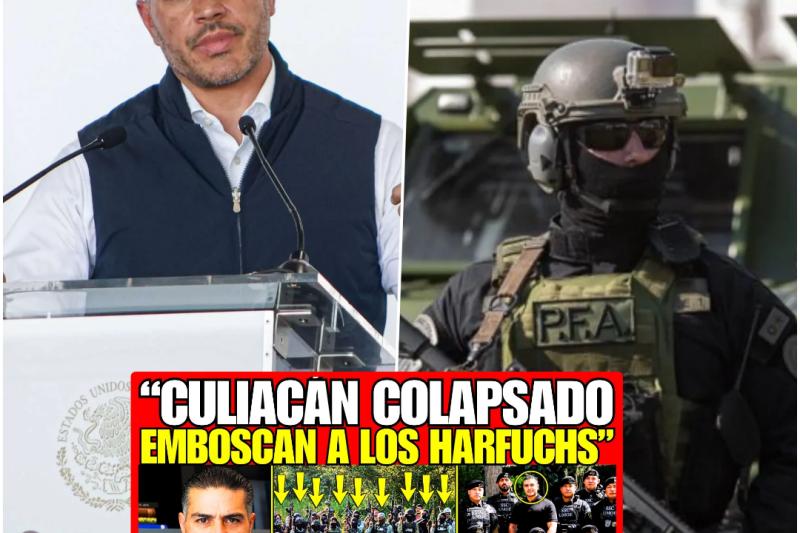 El Cerco Invisible de Harfuch y la Emboscada en Culiacán que se Convirtió en una Jaula de Plomo