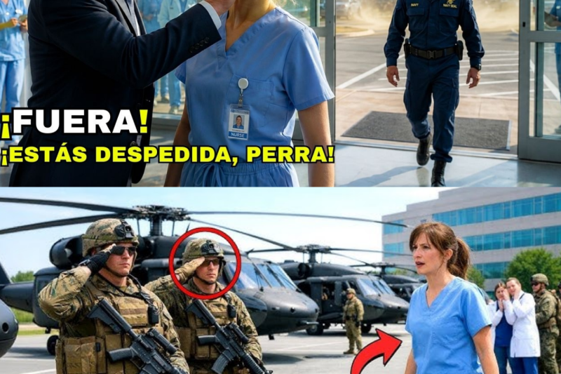 “¡Lárgate! El CEO golpeó a la enfermera… hasta que llegó un helicóptero naval”