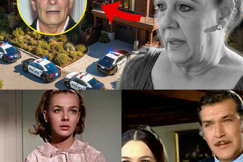 Misterio y Legado: Los Insólitos Hallazgos en la Casa de Alicia Bonet tras su Partida y la Carta que Estremeció a Juan Ferrara