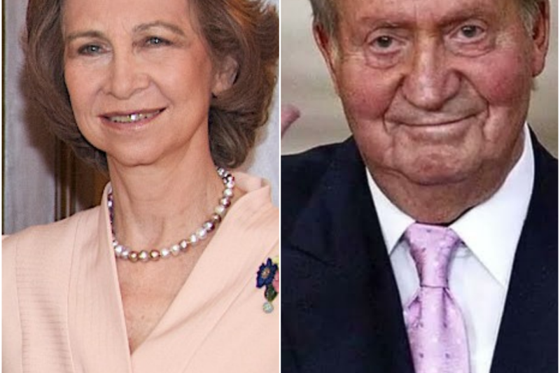 El Peso de la Corona y el Silencio de una Vida: La Verdad Oculta Detrás del Estoicismo de Sofía y el Día que Eligió Quedarse Sola
