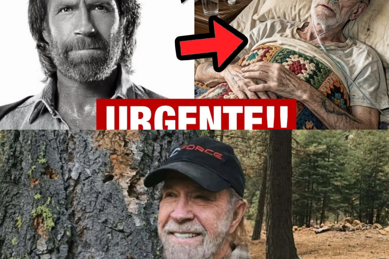 El adiós a la leyenda invencible: La muerte de Chuck Norris a los 86 años conmociona al mundo entero