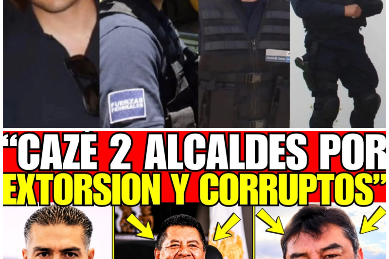 El Vuelo del Enjambre: Cómo la Arrogancia y la Corrupción Hicieron Caer a los Intocables de Morelos