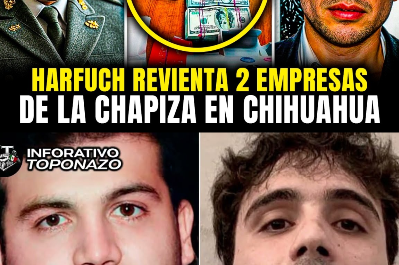 HARFUCH CATEA 2 EMPRESAS de los CHAPITOS y REVIENTA RED de LAVADO de DINERO en CHIHUAHUA