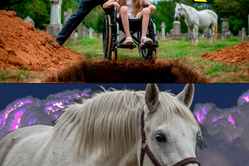 RICH MAN THREW HIS WHEELCHAIR-BOUND DAUGHTER INTO THE GRAVE, BUT THE HORSE SAW EVERYTHING AND…