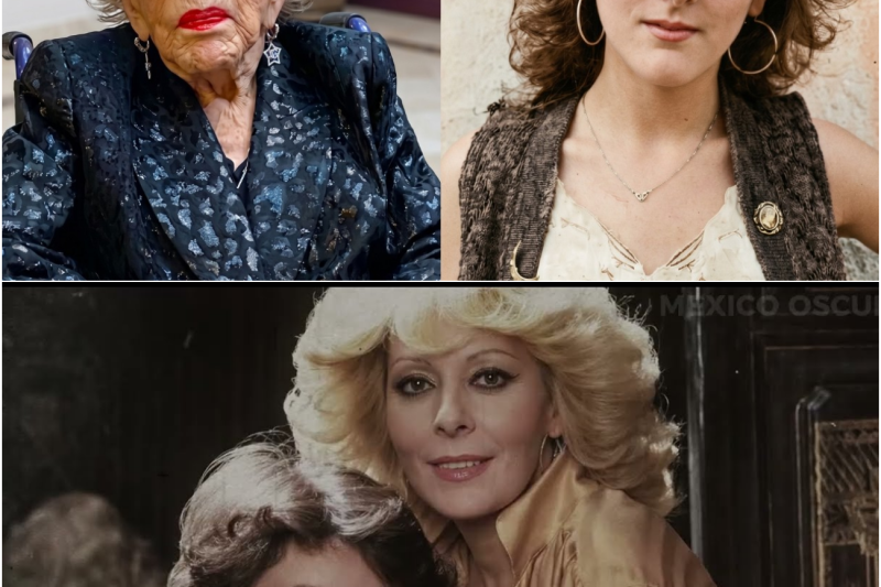 Antes de morir, SILVIA PINAL Confeso que VIRIDIANA ALATRISTE no era su HIJA LEGITIMA