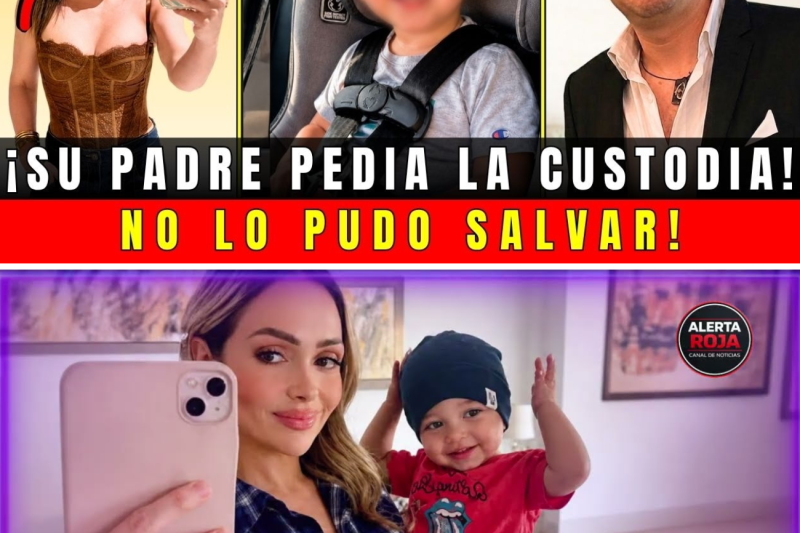 ¡NO LO ESCUCHARON! EL PAPÁ DE VICENTE LUCHABA POR SU CUSTODIA … LA TRAGEDIA PUDO EVITARSE