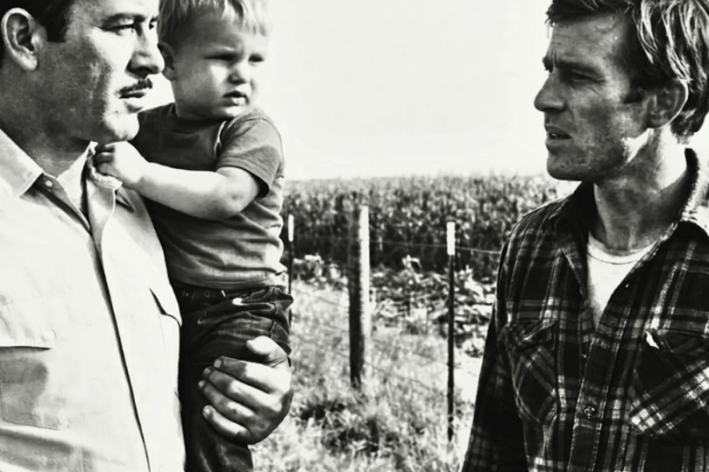 Pedro Infante supo que su equipo destruyó el campo de un joven granjero; lo que hizo fue puro Pedro