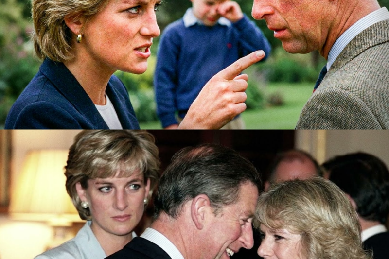 La Princesa Diana Escuchó A William Llorar Tras Hablar Con Charles—Su Reacción Aterrorizó Al Palacio