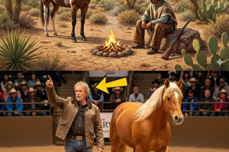 Rancher Paid 500 Pesos For “Worthless” Land — Until a Hungry Horse Changed Everything