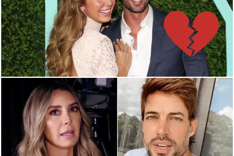 Elizabeth Gutiérrez renace tras su separación: Un imperio millonario, nuevos romances y el colapso del ego de William Levy