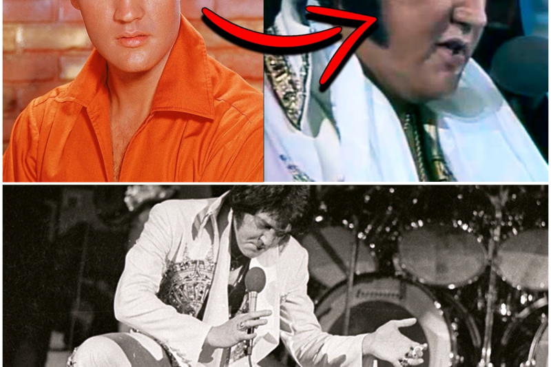 El Ocaso de un Rey: La Verdadera y Desgarradora Historia del Día que Murió Elvis Presley