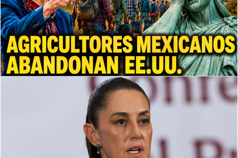 El Gran Éxodo: La Salida Masiva de Mexicanos que Está Colapsando la Economía de Estados Unidos