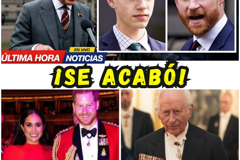 Tensión en el Palacio: La Furia Incontrolable del Rey ante la Traición de Meghan y el Ascenso Inesperado de James